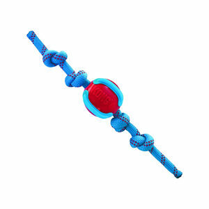 KONG Jaxx Brights Ball with Rope - M