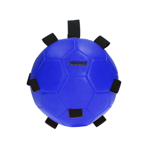 Maximus Fun Play Ball - Blauw