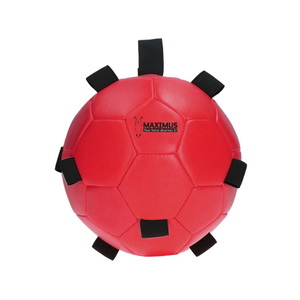 Maximus Fun Play Ball - Rood