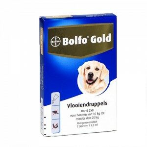 Bolfo Gold Hond 250 - 2 Pipetten