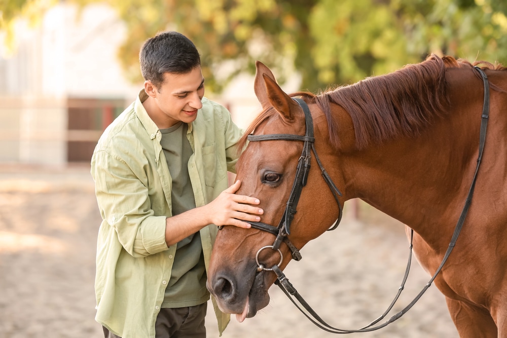 Het effect van paardentherapie op PTSS