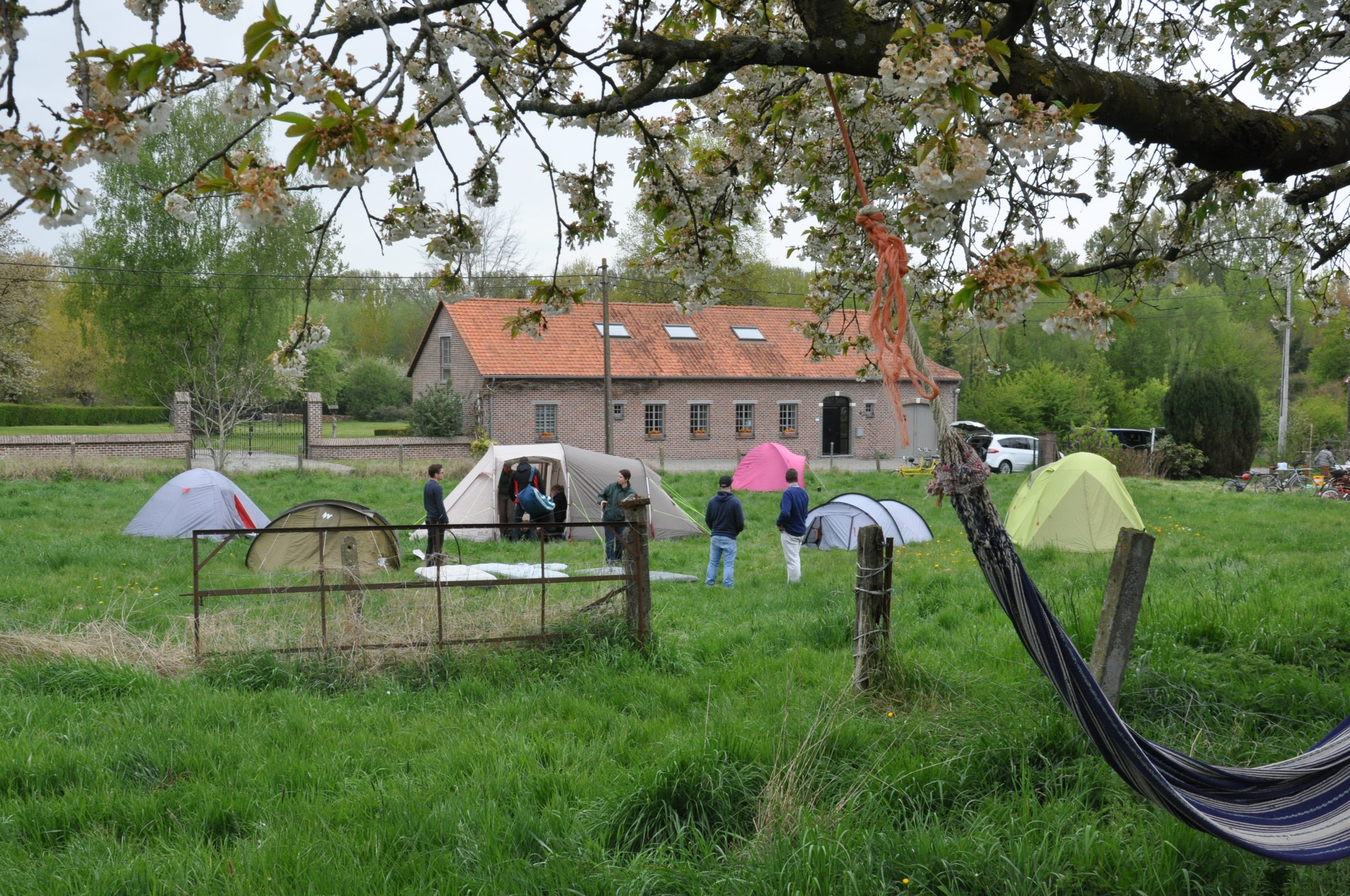 kamperen in de boomgaard