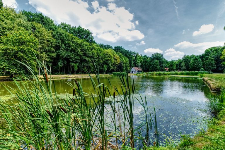 Ontdek de Belgische natuur