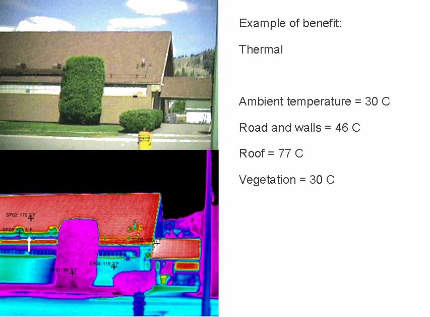 Heat island effect