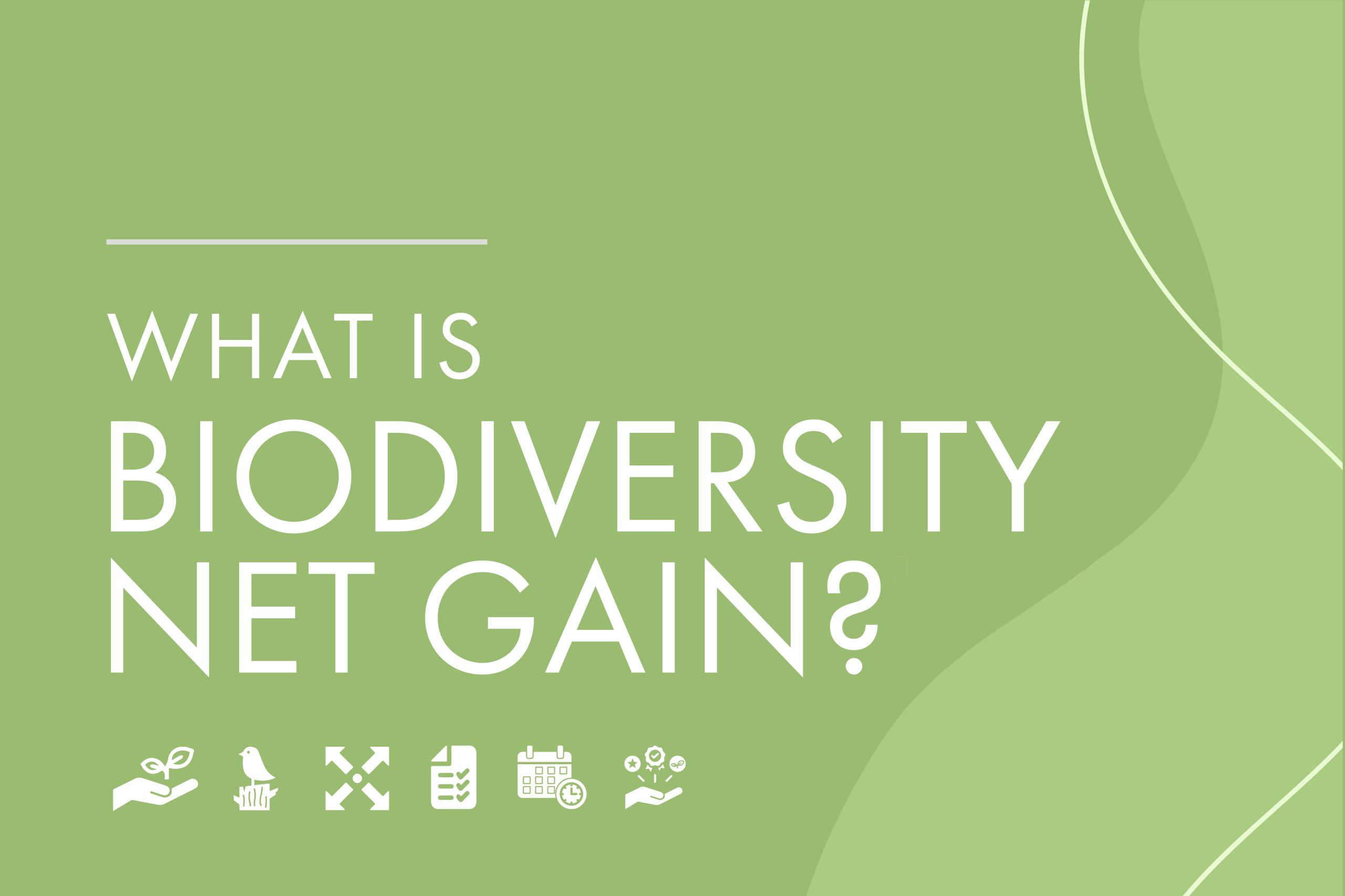 A Guide to Biodiversity Net Gain Deacon Design