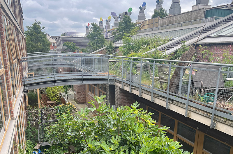Image of building greenery, BedZED, Sutton London