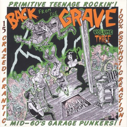 V/A: BACK FROM THE GRAVE Vol. 3 Mid-60s Garage Punkers LP