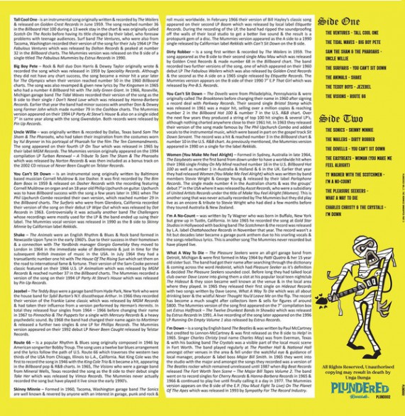 V/A: PLUNDERED Volume 2 LP back cover