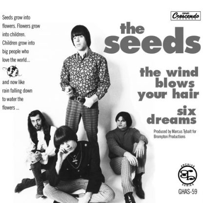 THE SEEDS: The Wind Blows Your Hair / Six Dreams 7"