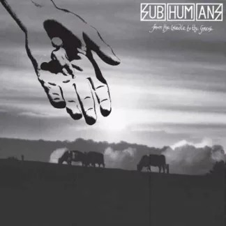 SUBHUMANS From The Cradle To The Grave album in LP format on red vinyl.