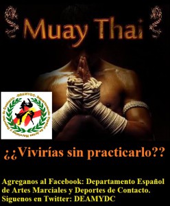 deamydc muay thai vivirias