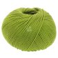 Merino Superiore 014 Bladgroen