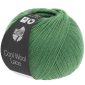 Cool Wool Lace 039 Mignonette groen