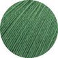 Cool Wool Lace 039 Mignonette groen