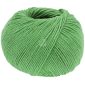 Elastico 181 Appelgroen