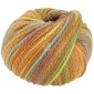 Cool Merino Big Color 402