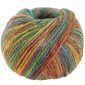 Cool Merino Big Color 402