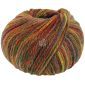 Cool Merino Big Color 405