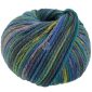 Cool Merino Big Color 407