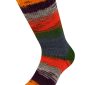 Cool Wool 4 Socks Print II 7796