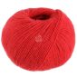 Ecopuno 100 Rood