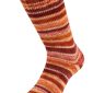 Cool Wool 4 Socks Print 7755 Zachtgeel / Oranjebruin / Roze