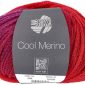 Cool Merino 306