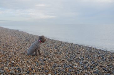 The Search Project (Meditative Pause). Inspecting Submerged Doggerland from the British Side of the Dover Strait, 2018. © Photograph: Hilde Van Gelder.