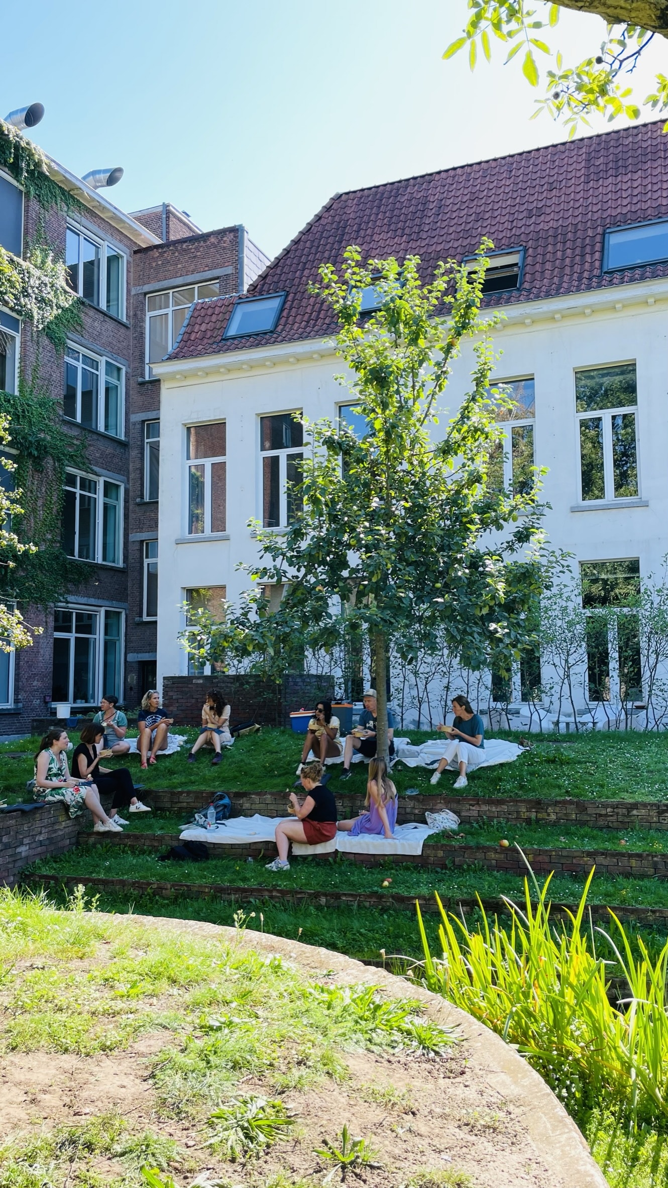 Picknicken in het groen