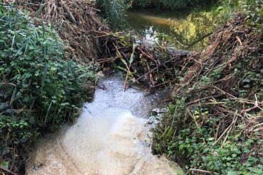 Verslag wandeling clubleden De Wulp dinsdag 22 september 2020