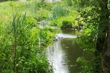 Verslag wandeling clubleden De Wulp dinsdag 22 september 2020