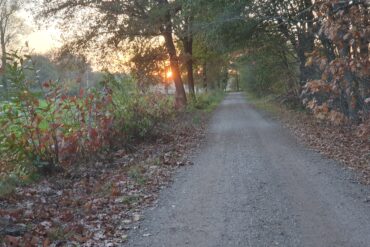 Wandeling Kolisbos weekend 14 en 15 november 2020