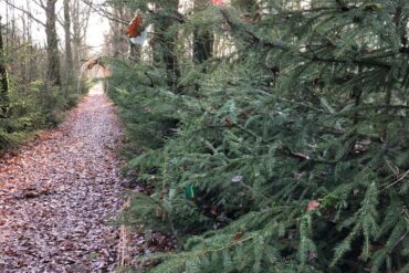 Verslag clubwandeling Kempen-Broek 28 december 2020