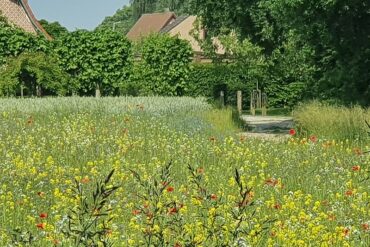 Achelse Kluiswandeling zondag 17 oktober 2021