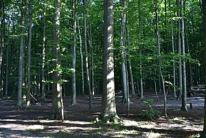 Achelse Kluiswandeling zondag 17 oktober 2021