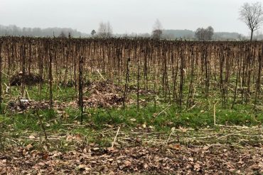 Busuitstap Kommiezentocht De Klinge zondag 16 april 2023