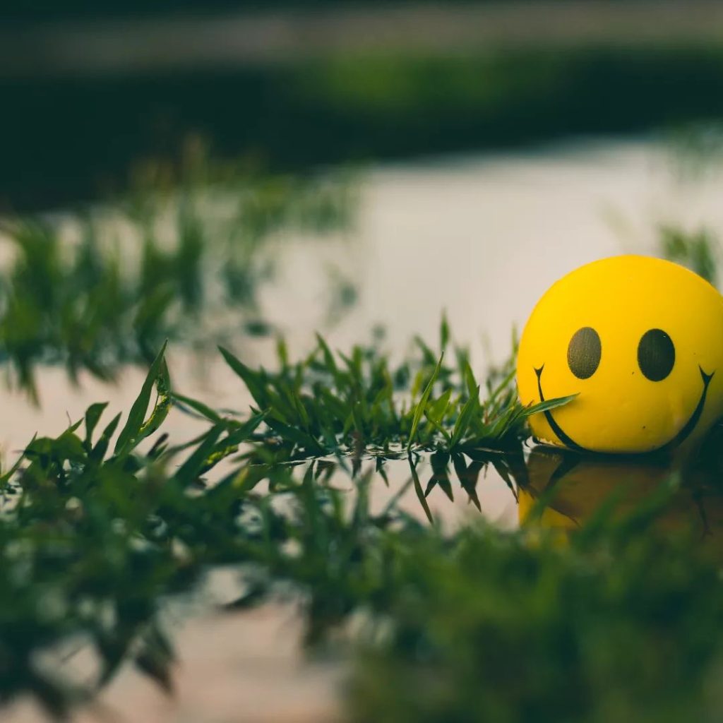 smiley in plasje water met plantjes