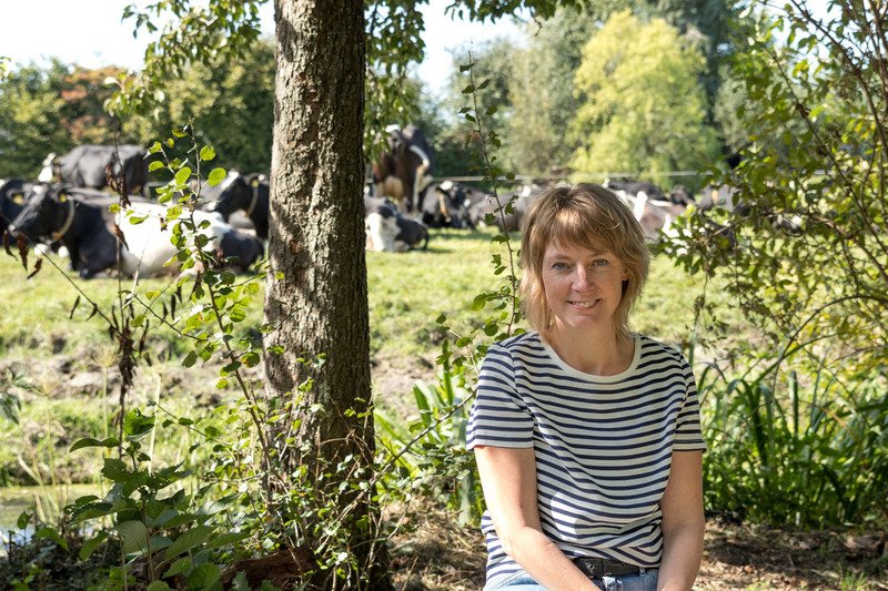 Judith in schaduw bij weiland met koeien