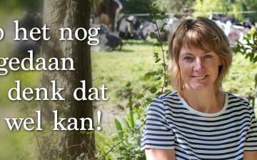 Judith in schaduw bij weiland met koeien