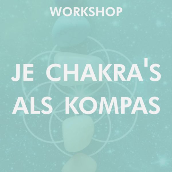 workshop chakra's als kompas