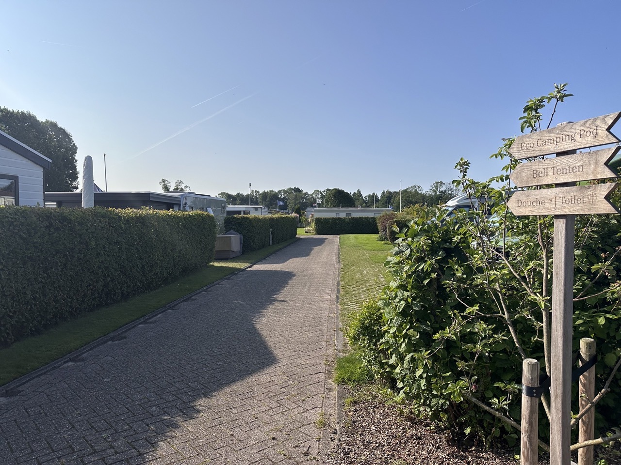 IMG 3023 groot