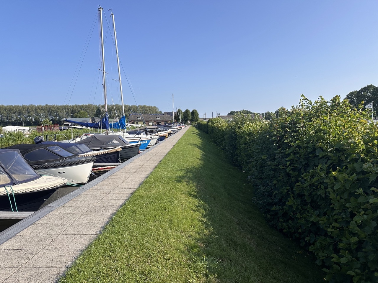 IMG 3029 groot