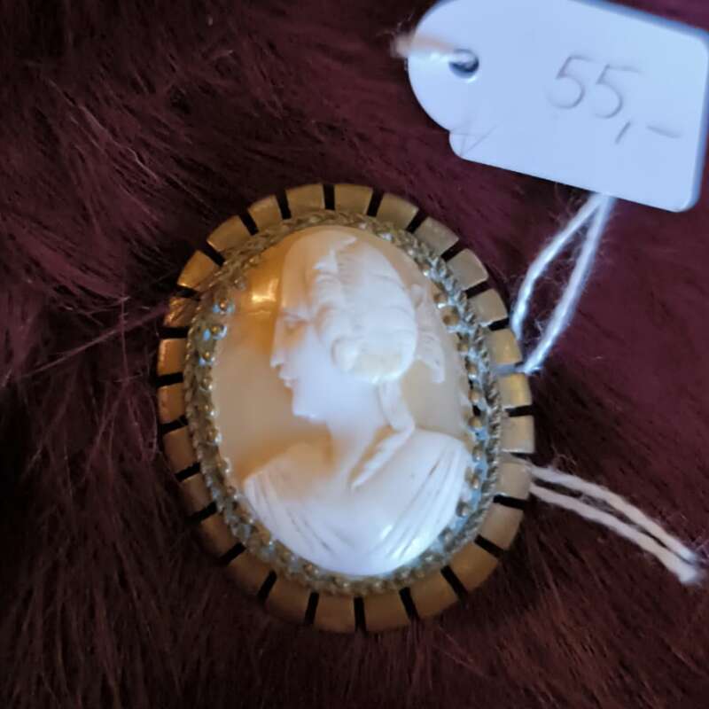 Antieke Camée (schelp)