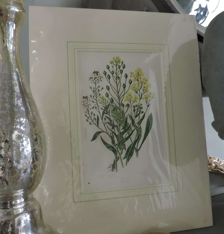 Chromo Litho (Engeland circa 1855)