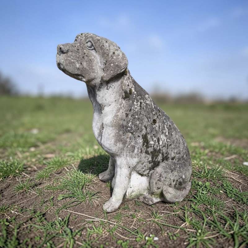 Hond Antiek Beton