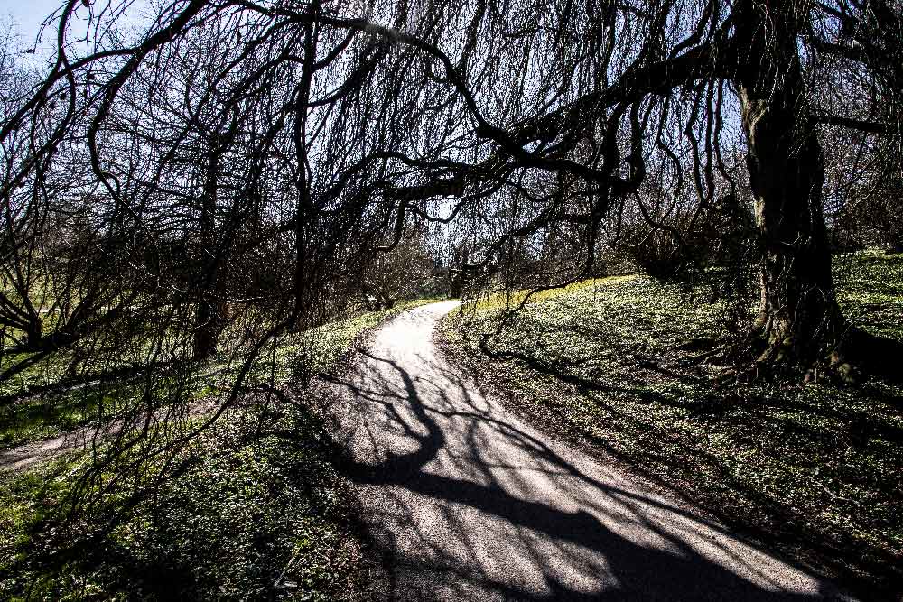 Billede af eventyrlig sti i Botanisk Have, Aarhus - lyddæmpende akustikbillede.