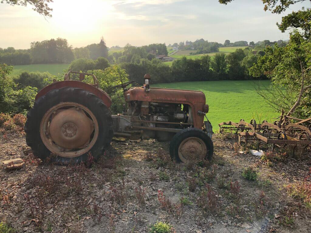 Photo champêtre façon "Le bonheur est dans le pré" et qui me rappelle le conseil d'un jeune marcheur anglais : "I drink two litres of water before leaving, but after that, unfortunately, I have to pee often. 