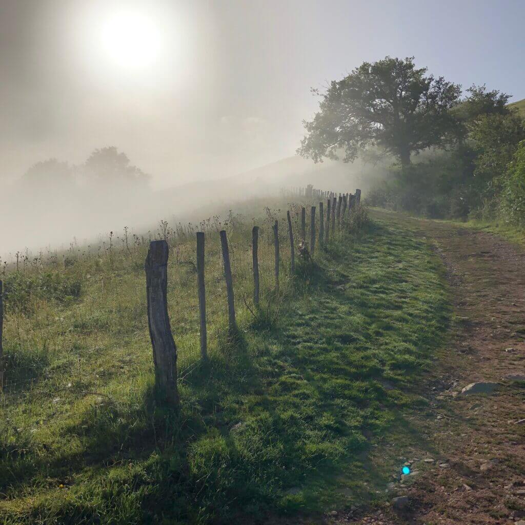 La montée vers Roncevalles