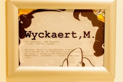De-Kleine-Mote-Wyckaert-1