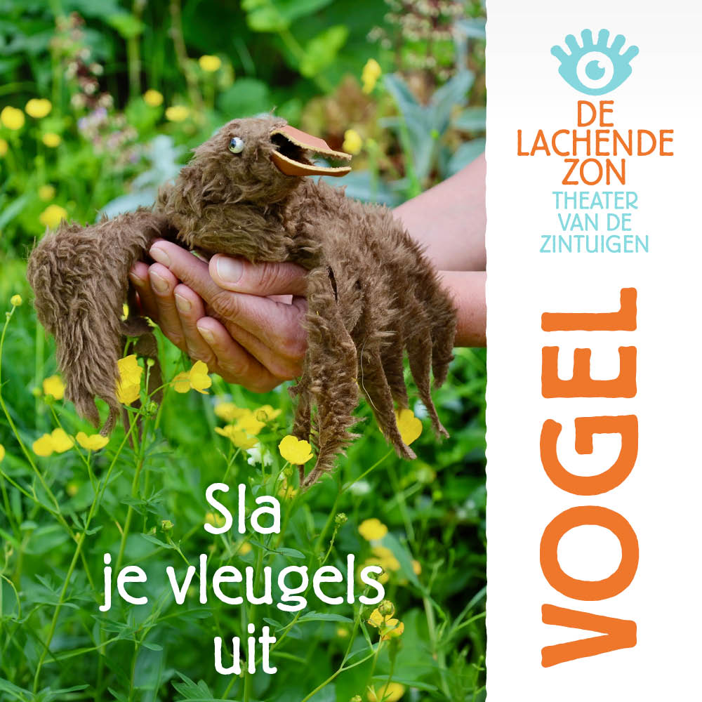 flyers 1000×1000-vogel-A2